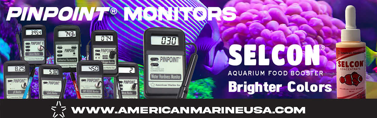 AM_TropicalFish Display 1228x385