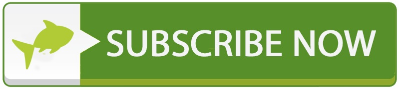 Subscription Promo Subscribe Button