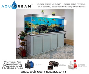 aquadream tank