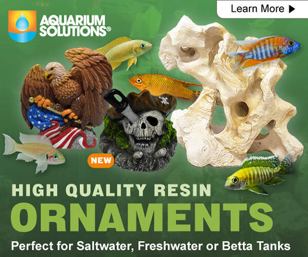 300x250-TFHDigitalAd-2025-ASResin