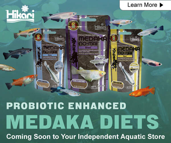 300x250-TFHDigitalAd-2025-MedakaNoMai