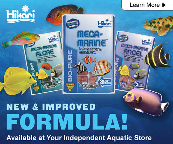 300x250-TFHDigitalAd-2025-MegaMarineFrozen