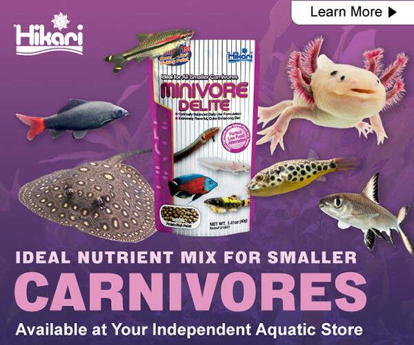 300x250-TFHDigitalAd-2025-MinivoreDelite