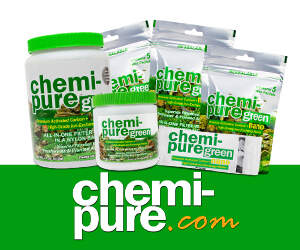 CHEMIPURE 300x250
