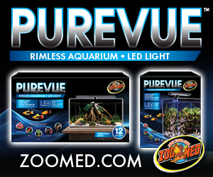 ZMED-PureView_300x250_TFH-blog_24