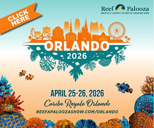 Reefapalooza Display Ad