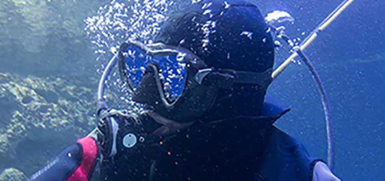 how to clean a fish tank