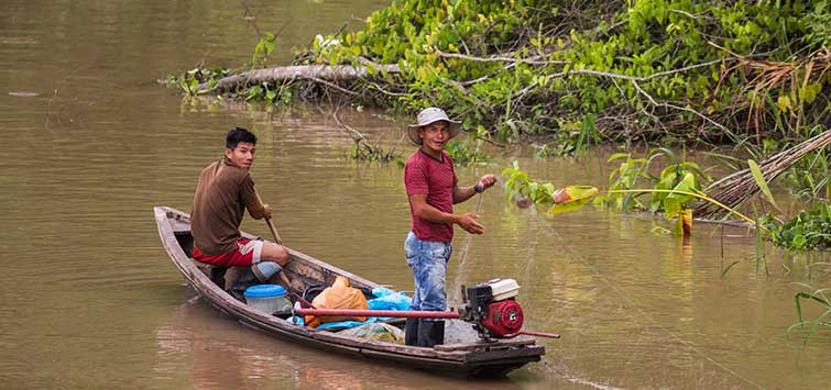rio negro and amazon