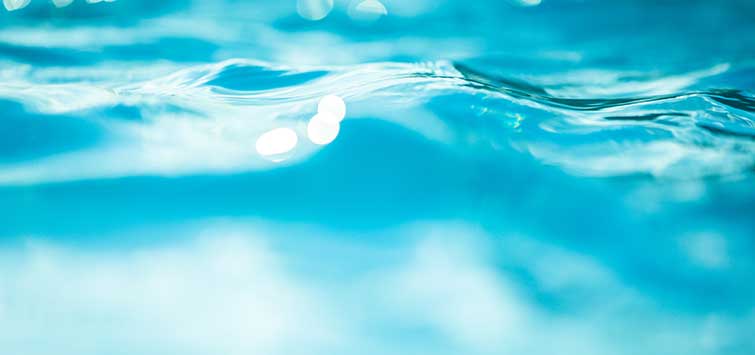 how to test fish tank water without kit