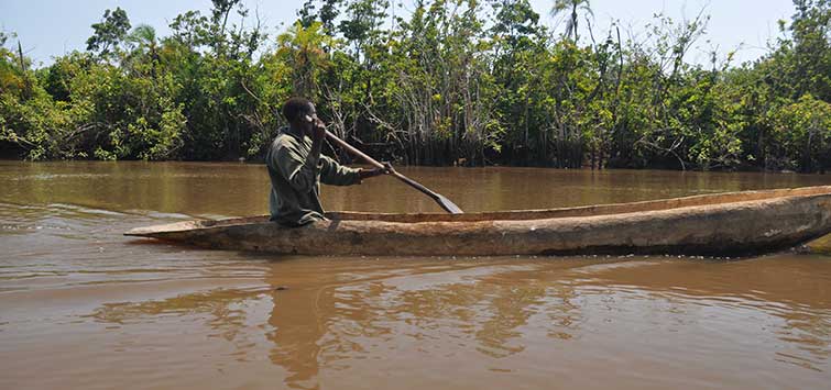 south african tropical fish