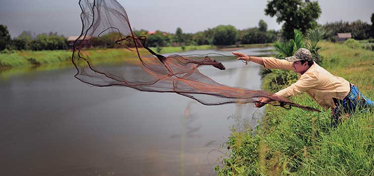 fish of cambodia