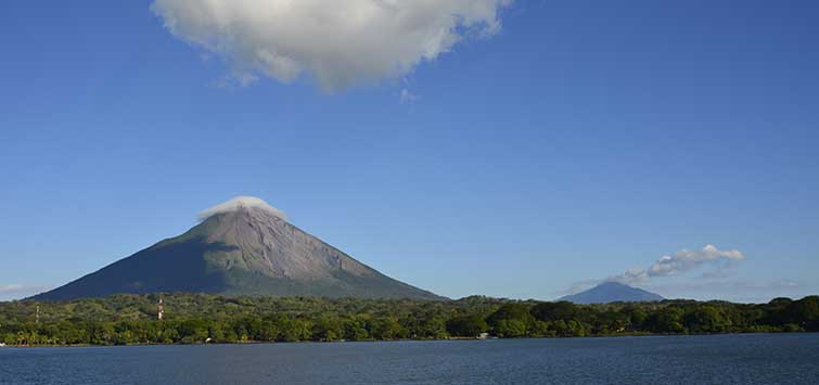 central american cichlids