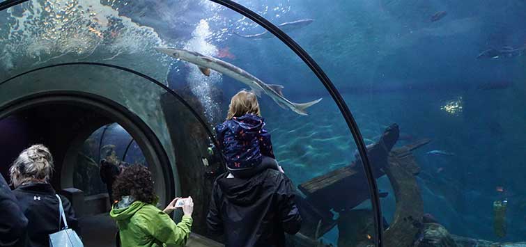 oregon coast aquarium