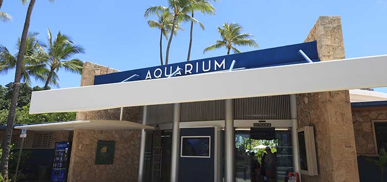 waikiki aquarium