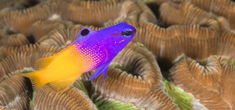 true Erotica grammas story Rupert recommends Hot blonde babes videos