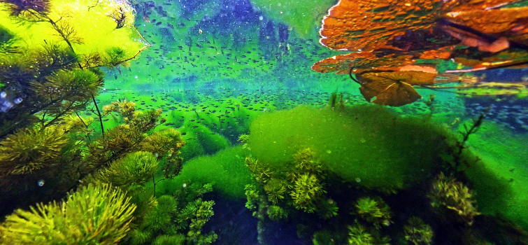1 header photo