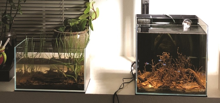 2 igapo aquariums