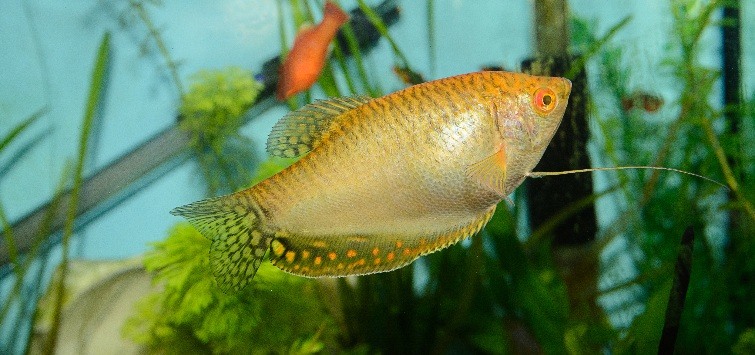 shutterstock_1664898259