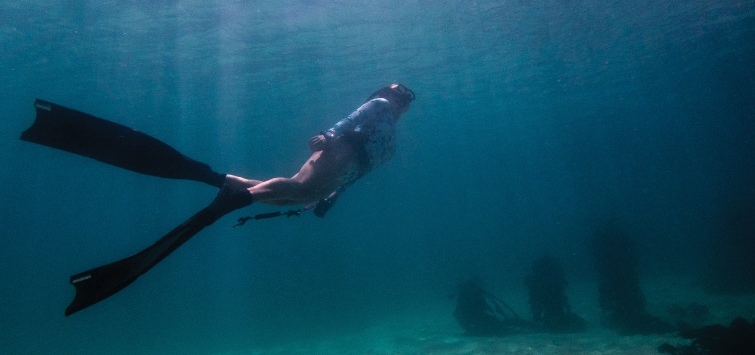 scuba diver south africa