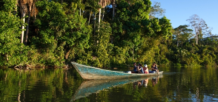 peruvian amazon jungle sunet