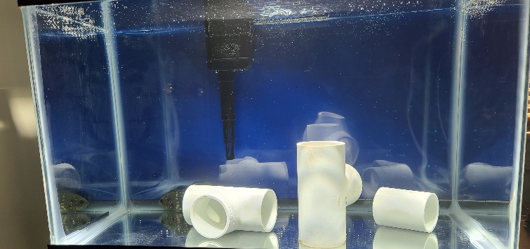 https://www.tfhmagazine.com/-/media/Project/OneWeb/TFH/US/articles/quarantine/Quarantine_Tank_Photo_Cropped_JW.jpg?utm_source=chatgpt.com