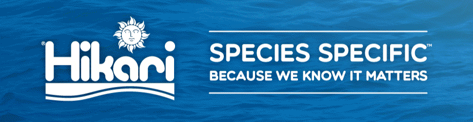 Hikari - 970x250
